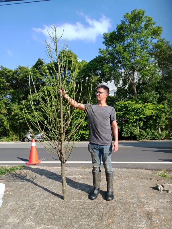jeff的第二张照片--邵武婚介网